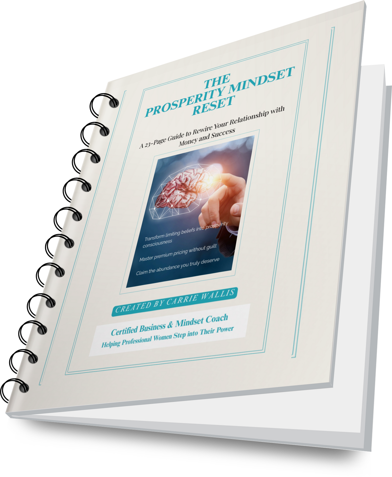 The Prosperity Mindset Reset workbook